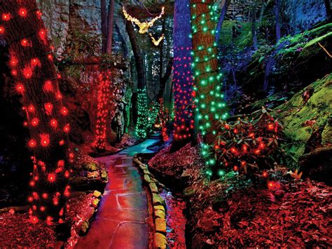 Enchanted lights - Rock City's Enchanted Garden of Lights, Lookout Mountain, Georgia. 43,301 likes · 67 talking about this · 108,731 were here. Rock City's premiere holiday tradition with more than a million lights!...